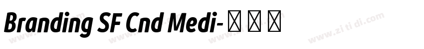 Branding SF Cnd Medi字体转换
